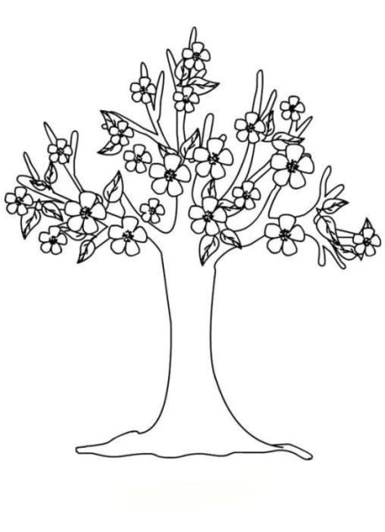 Раскраска деревья весной