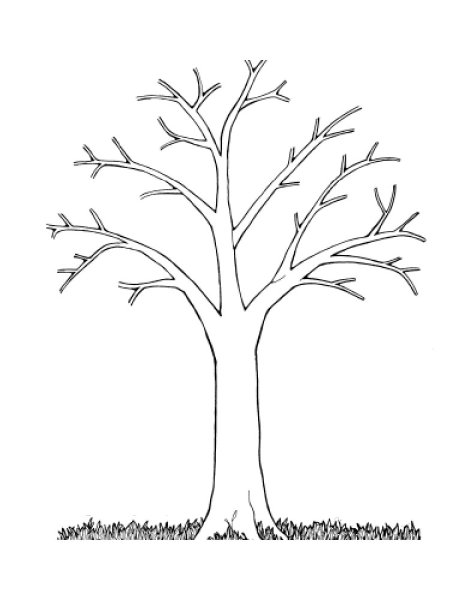 Раскраска дерево без листьев для детей