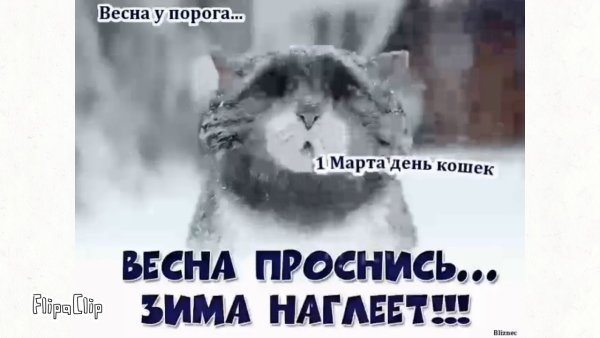 Весна Проснись зима наглеет смешные