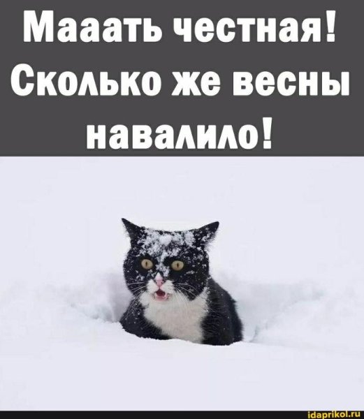 Весна Проснись зима наглеет