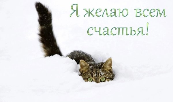 Весна чуть чуть мешает метр снега