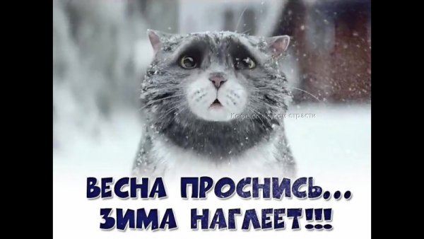 Приколы про зиму и весну