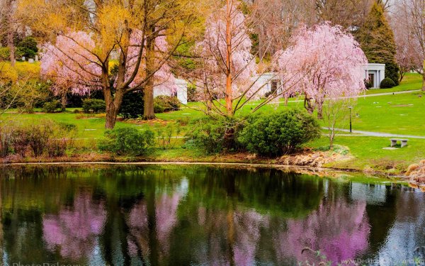 Красивые пейзажи весны