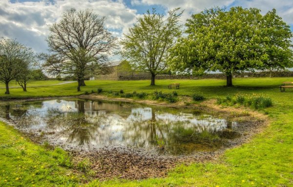 Весна природа