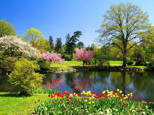 Красивый сад весной