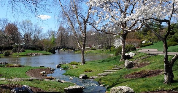 Левитан река (ранняя Весна)