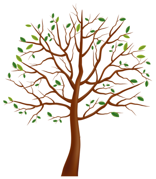 Дерево без листвы