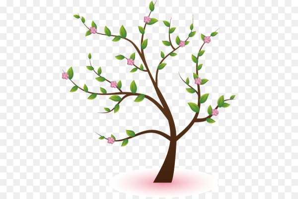 Деревья весной для детей