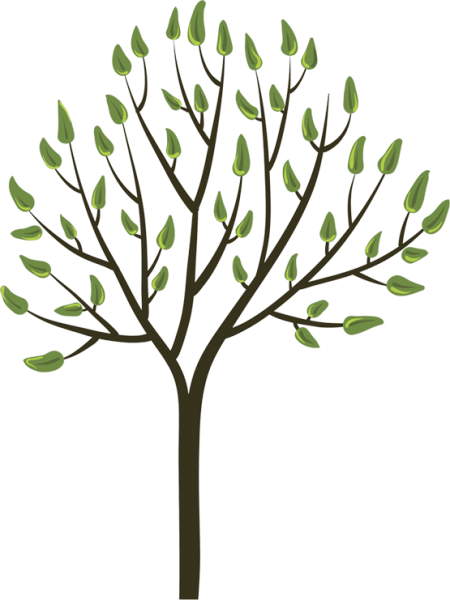 Деревья весной для детей