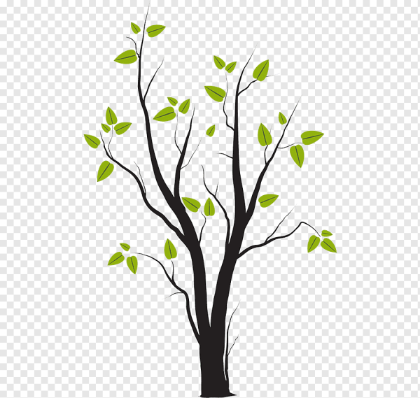 Листочки деревьев