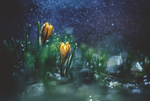 Весенний космос