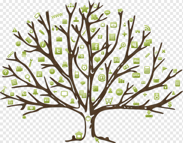 Дерево весной на прозрачном фоне