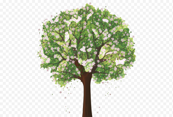 Изображение дерева с ветками