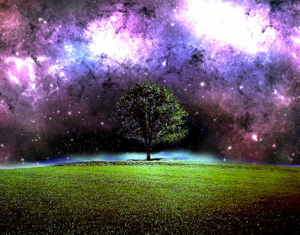 Дерево космос
