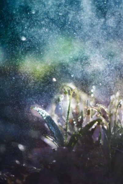 Космическая Весна