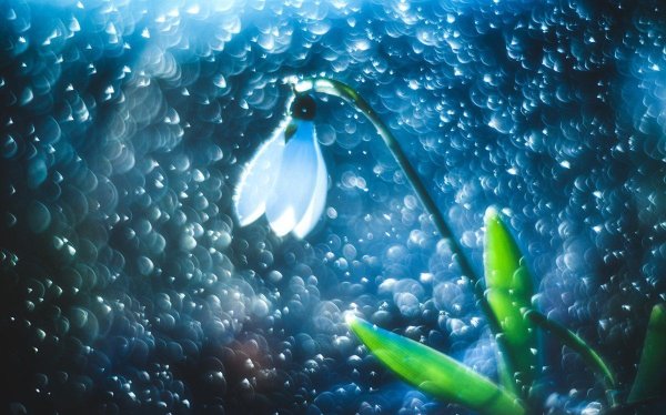 Космическая Весна