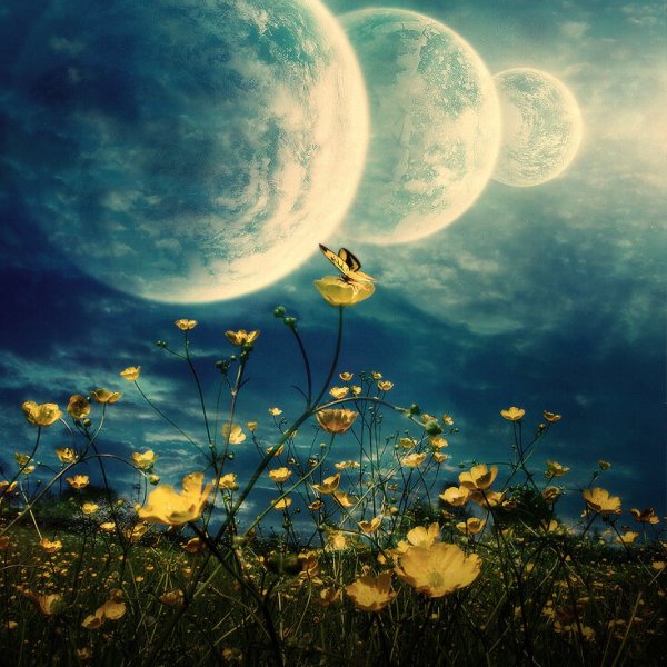 Планета Весна