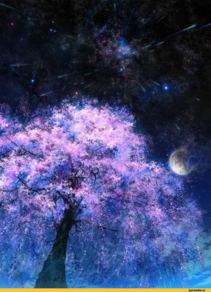 Дерево на фоне космоса