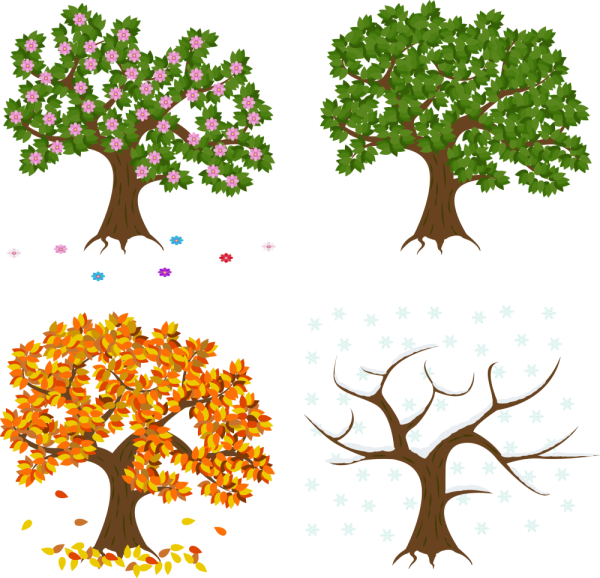 Дерево для детского сада