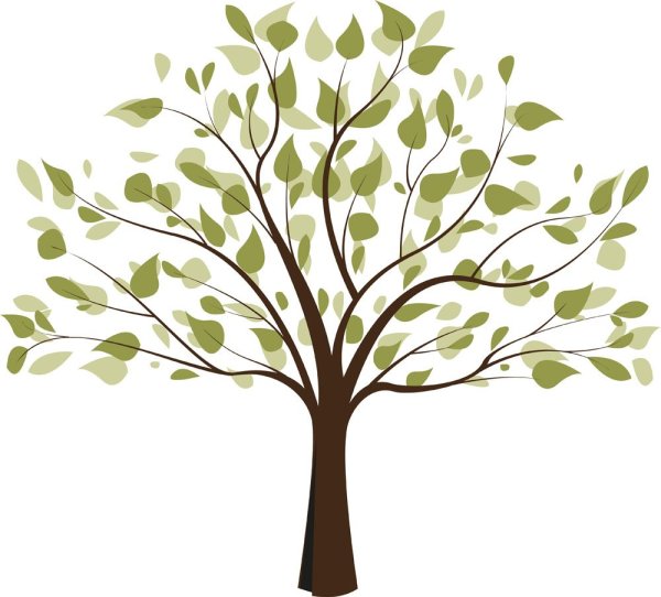 Сакура дерево вектор