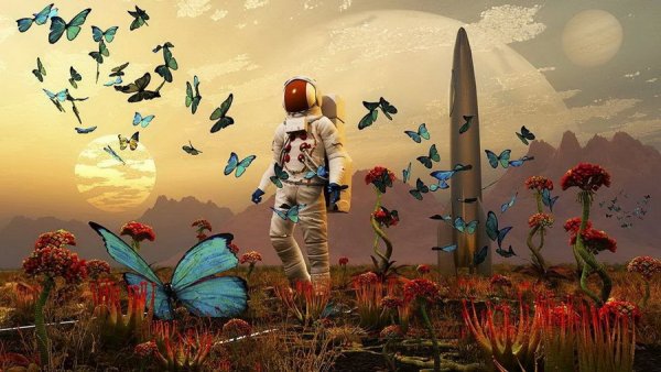 Человек на другой планете