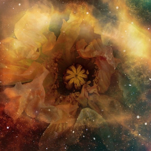 Цветок Вселенная