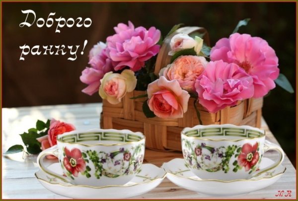 Доброго ранку гарного дня