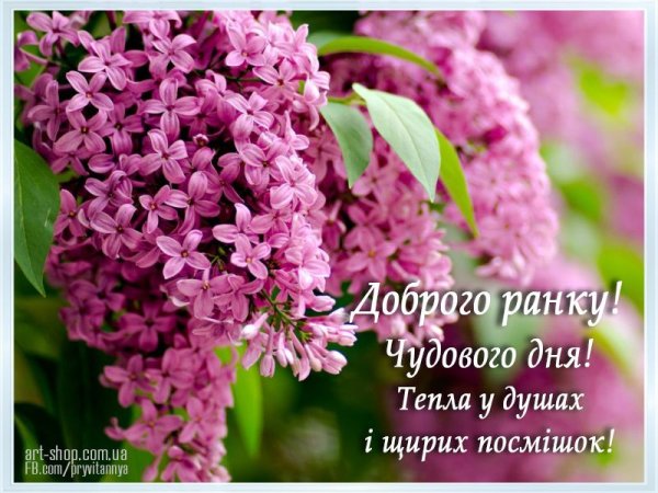 Побажання доброго ранку