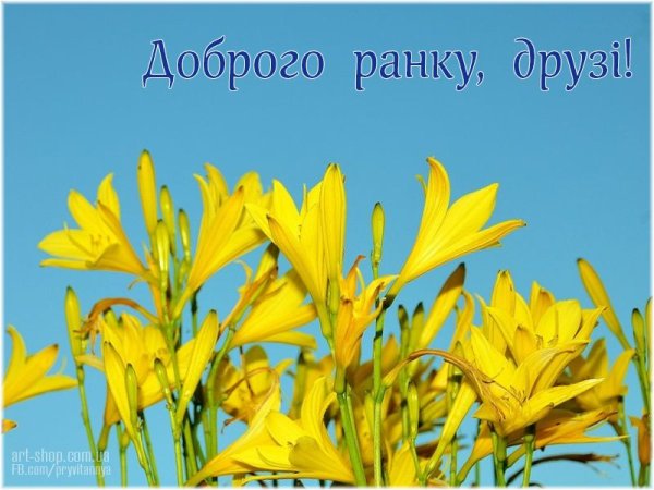 Доброго ранку