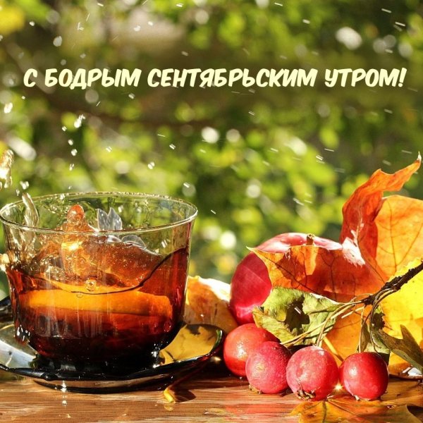 Открытки доброго ранку