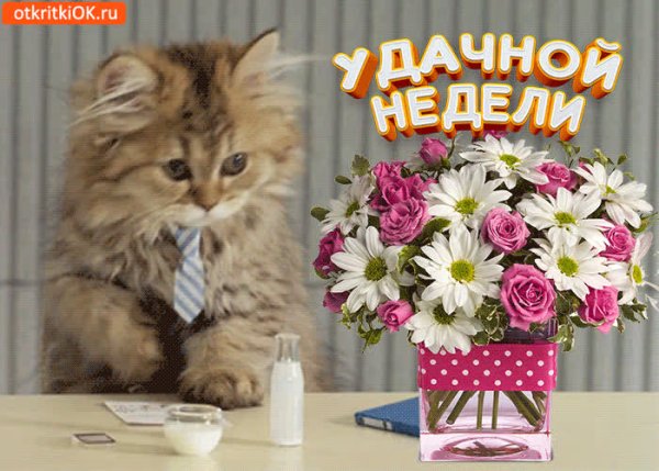 Удачной недели и хорошего настроения