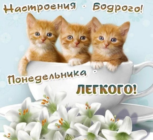Лёгкого понедельника и хорошего настроения