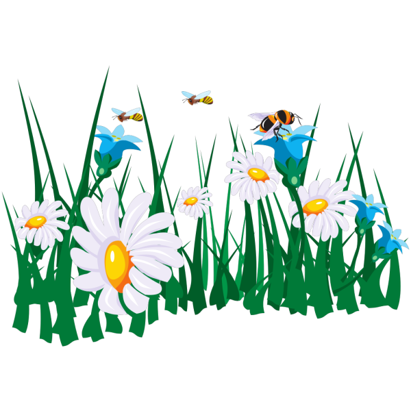 Цветочная Поляна на белом фоне