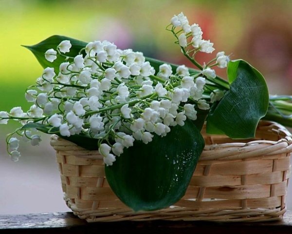Весенние цветы с пожеланиями