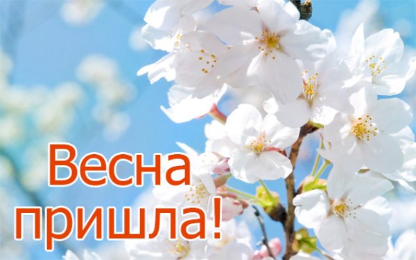 С праздником весны 8 марта