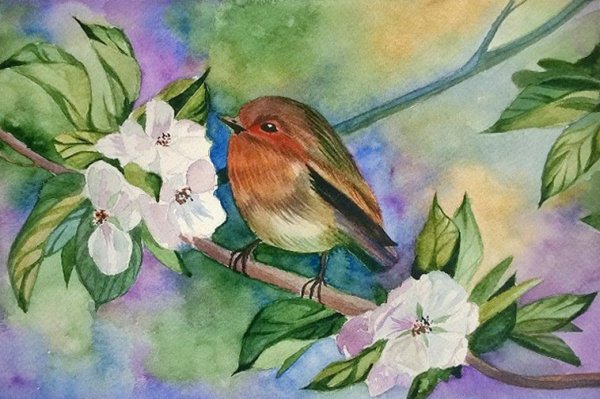 Птички для рисования