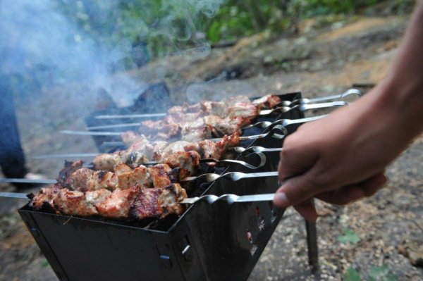 Шашлыки на природе