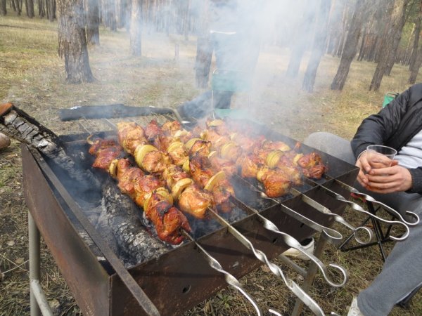 Сенеж шашлыки Солнечногорск