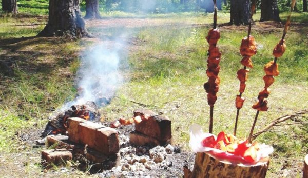 Шашлыки на природе вечером