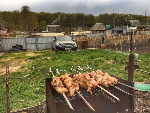 Пикник шашлык на природе