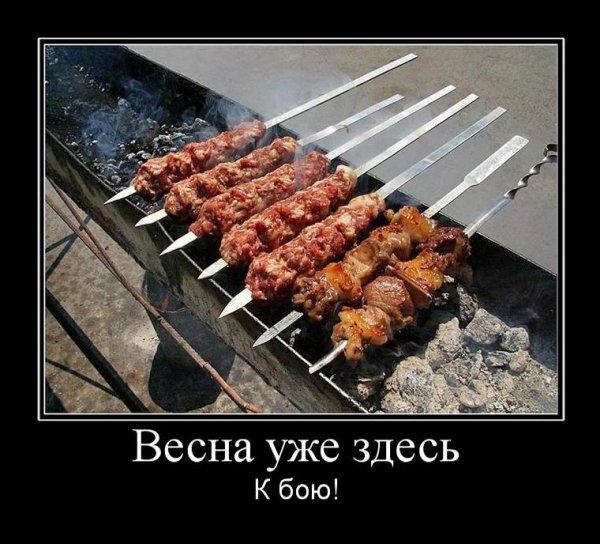 Шашлыки на природе