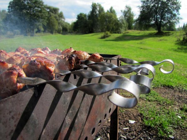 Шашлыки на даче