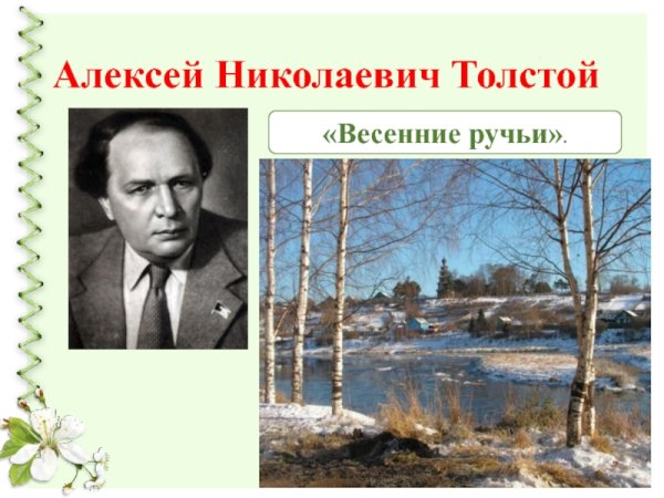 Фон птицы