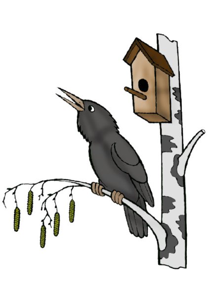 Птицы в скворечнике на прозрачном фоне