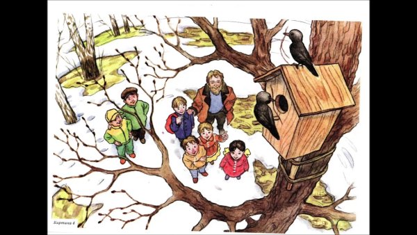 Вешают скворечник