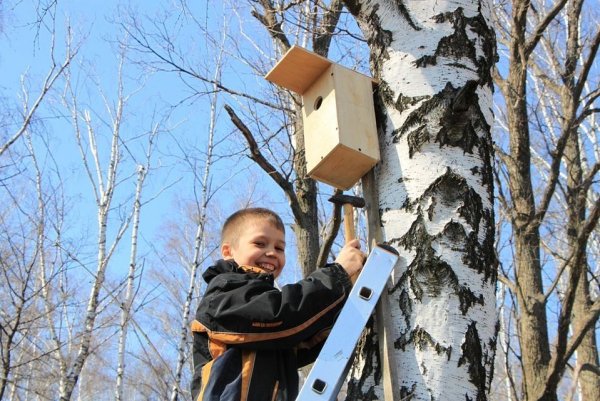 Скворечник фон