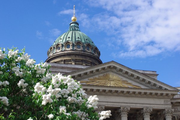 Казанский собор сирень