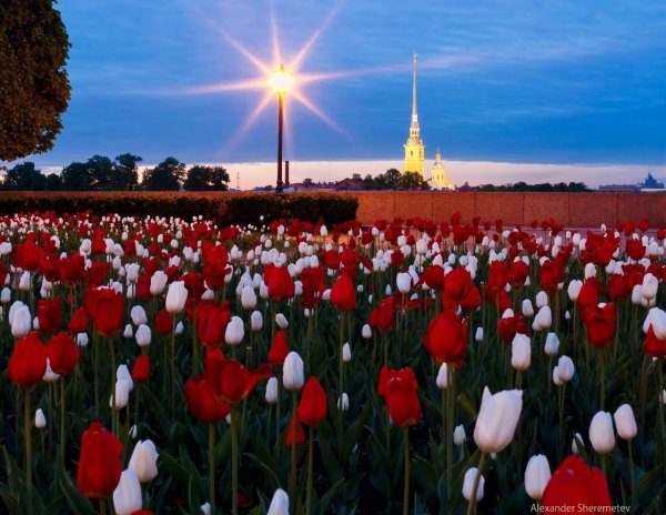 Весна в городе Санкт-Петербург
