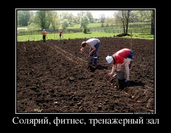 Огород карикатура