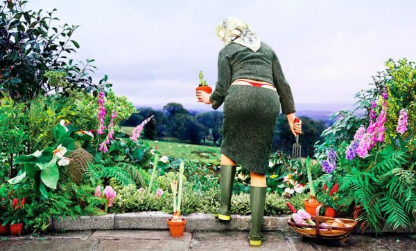 Фразы про огород